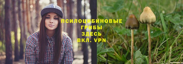 герыч Алзамай